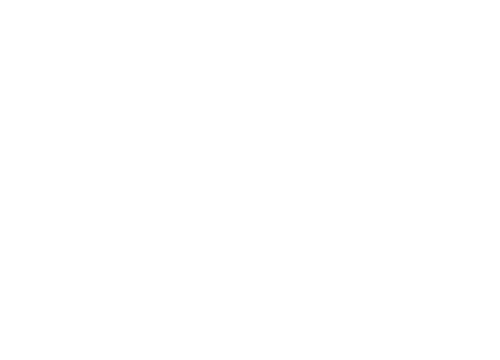 Pure Modus Logo