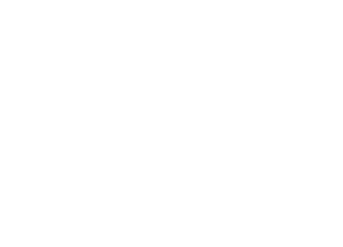 Bluemanta Logo