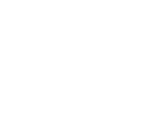 Emirates Hospital group Logo