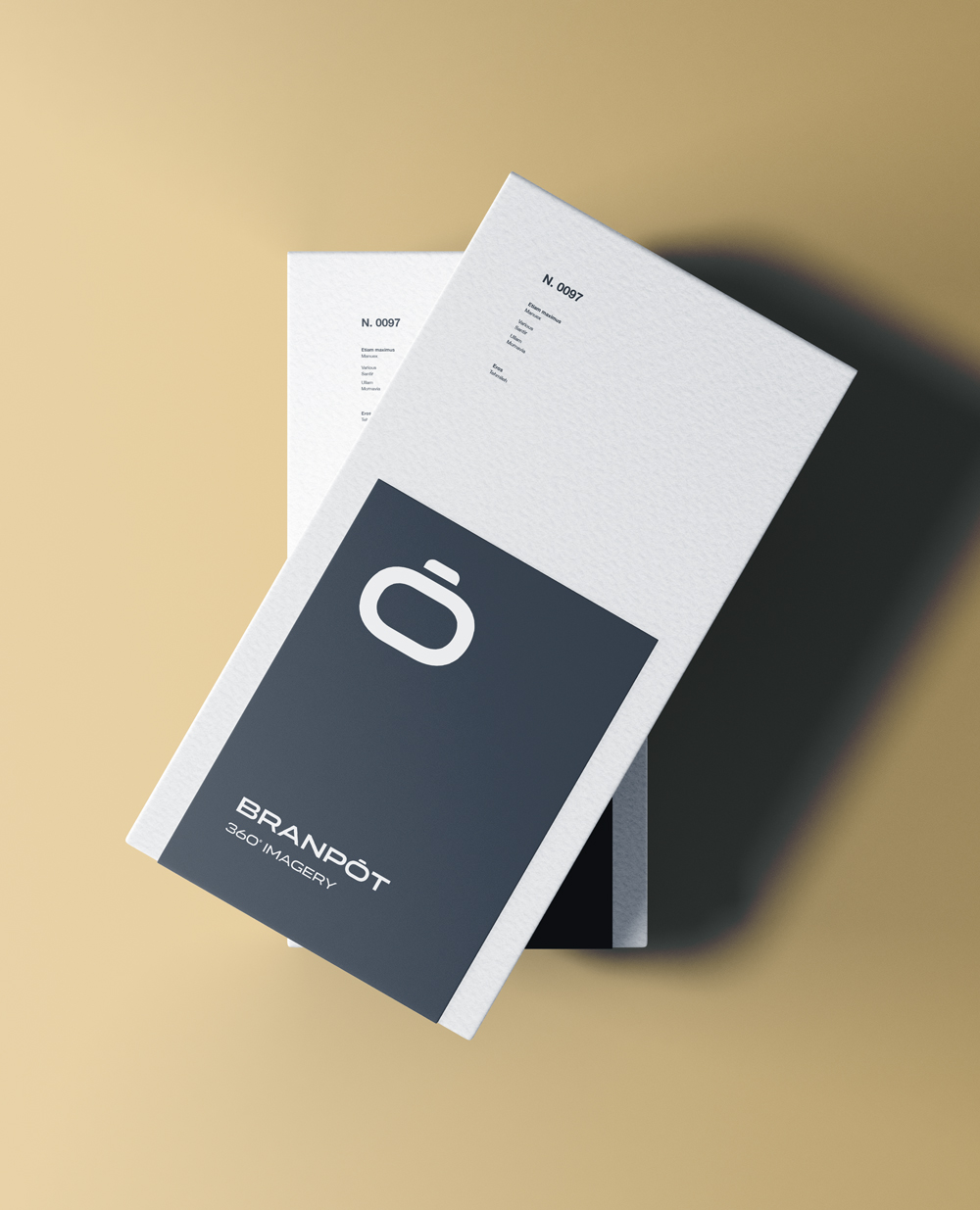 Branding services by Fleava Digital Agency